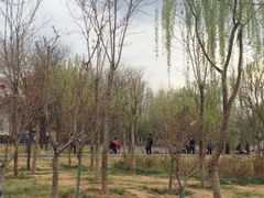 iphone_upload_pic-雁滩公园