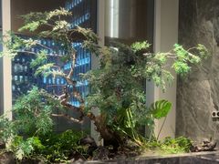 -海立阁海鲜江浙菜(漕河泾印象城店)
