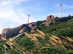 -东极岛景区
