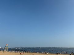 -碧海金沙