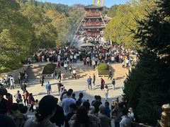 -庐山风景名胜区-东林大佛