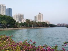 -白鹭洲公园