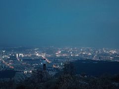 -长虫山生态公园风景林