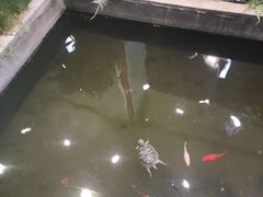 -嘉缤苑