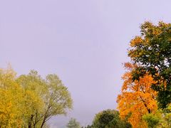 -百里山水画廊乌龙峡谷