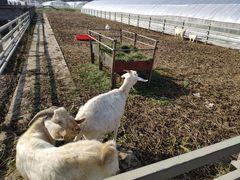 -上膳源有机农场