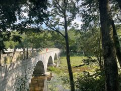 -番禺大夫山森林公园