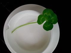 android_upload_pic-老房子金沙元年川菜食府·花园餐厅(金沙店)