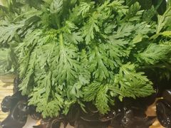 -老诚一锅羊蝎子(天通苑东三区直营店)