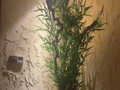 -沐·SPA悠享影院足道(海岸城店)