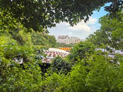 -来回·咖啡(钟村咖啡豆店)