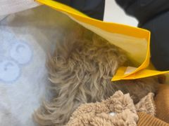 -全心全意连锁动物医院·微创中心·内科急重症·心脏专科(丰管路店)