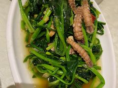 虾耙子炒菠菜-新洪记·丽久饭店(铁西店)