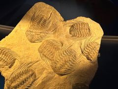 -香港科学馆