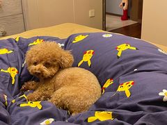 -三月居酒屋(青年大街店)