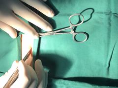 -安安宠医·安宠宠物医院