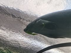 -珠海长隆海洋王国