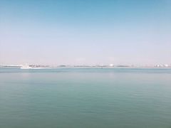 -大湾区中央湿地公园