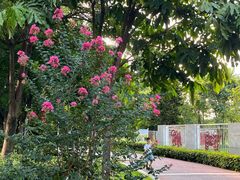 -荔湾区儿童公园