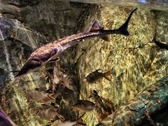 -沈阳海洋探索中心