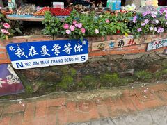 -西双版纳基诺山寨