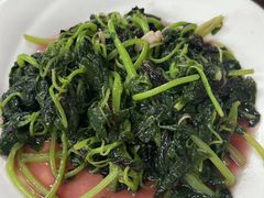 -协和菜馆(凤凰街店)