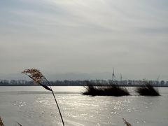 -野鸭湖国家湿地公园