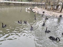 -黔灵山公园