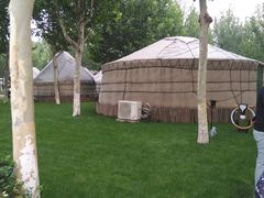 -九十九顶毡房(阜石路店)