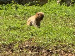 -石家庄市动物园