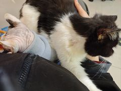 -平行世界·猫咖(首经贸店)