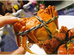 大闸蟹-新光酒家·河豚·海鲜·蟹料理(浦东店)