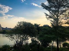 景观位-顺德了能馆(虎门店)