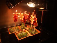 -北京王府井希尔顿酒店·万斯阁西餐厅