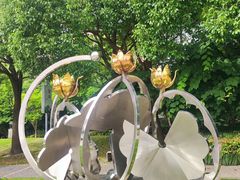 -陈家山荷花公园