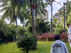 -三亚湾海居铂尔曼度假酒店