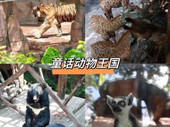 -长鹿旅游休博园