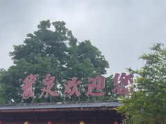 -靖西鹅泉风景区