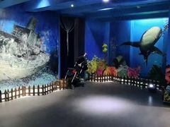 -船奇蒸汽海鲜·闽菜(八市海鲜总店)