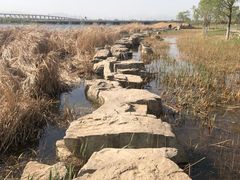 -绿堤公园