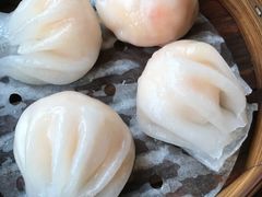 -颐和•海鲜砂锅粥•啫啫煲(奥林匹克广场店)