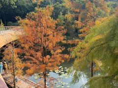 -云溪植物园