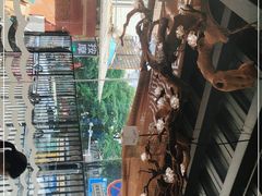 -华华火锅牛蛙(祥宾店)