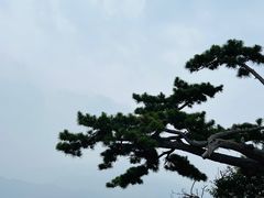 -天津盘山风景名胜区