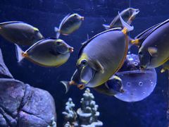 -成都浩海立方海洋公园