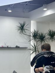 -FINE HAIR 烫染专业设计