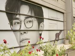 -大视光学•LINDBERG林德伯格•全球手工眼镜集合店(王府井店)