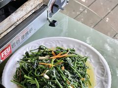 -兴隆槟榔园休闲农庄