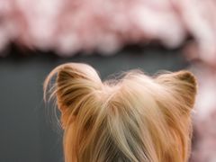 -百好乐宠物友好餐厅(朝外大街店)