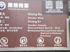 -都江堰中华大熊猫苑